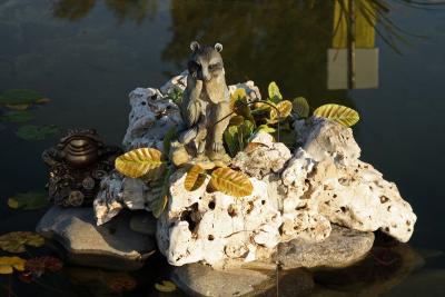 Прикрепленное изображение: IMG_8561_.jpg